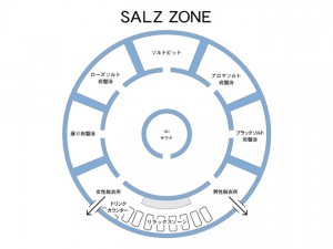 salz_map